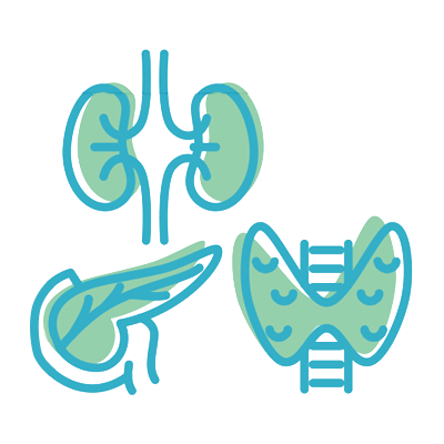 ENDOCRINOLOGIST & NEPHROLOGIST